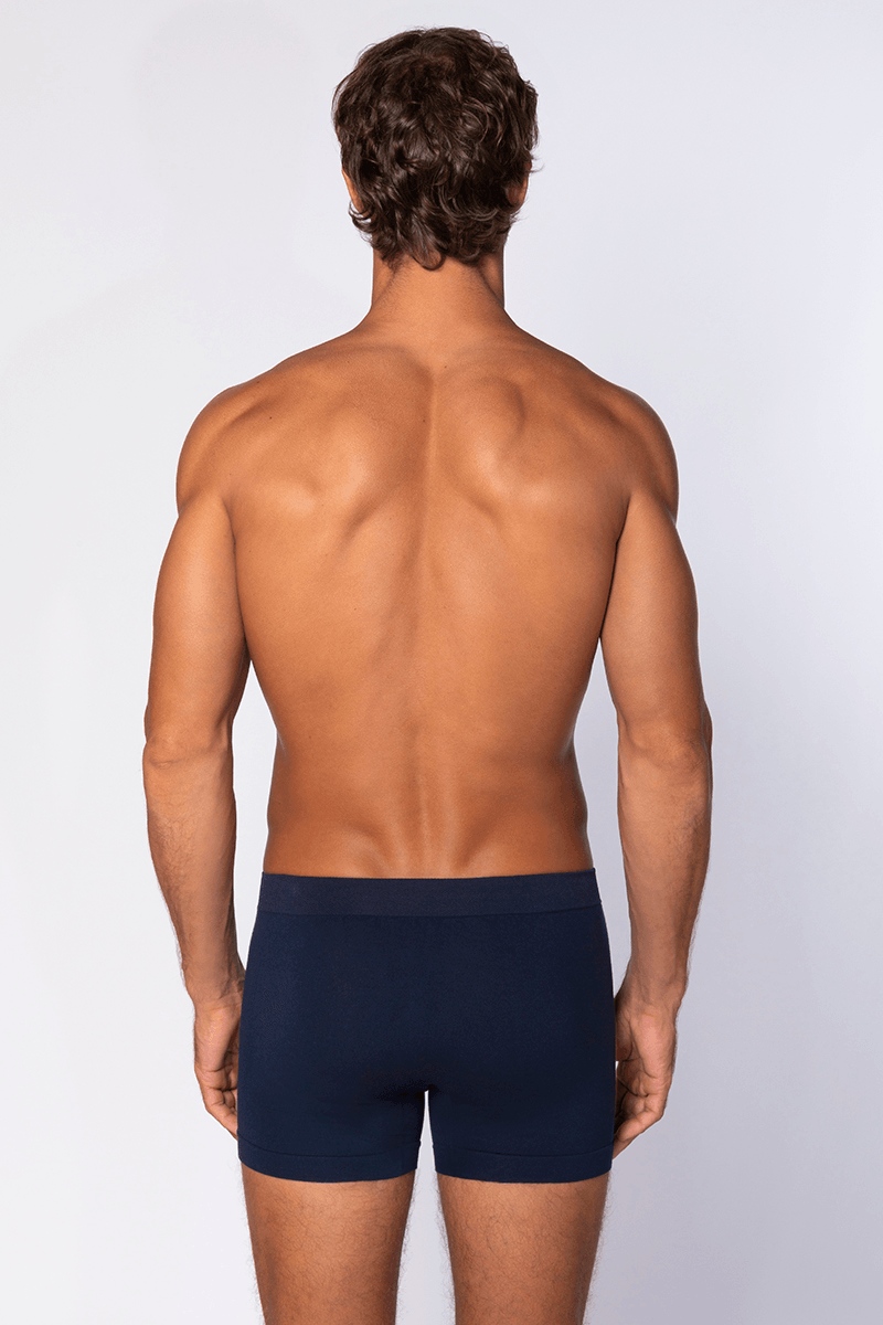 Cueca Adulto Boxer Micromodal Sem Costura Lisa Lupo: Pague 3 leve 5 por 87.90